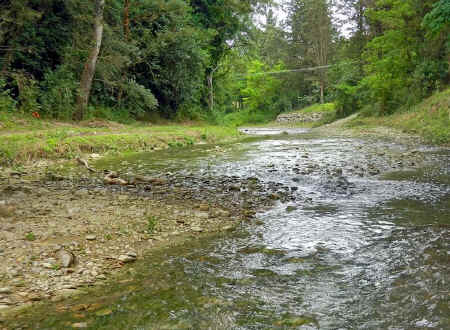 The River Pesa